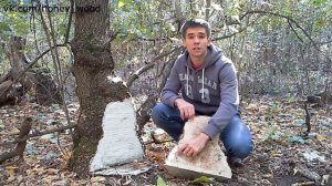 Кап клёна ясенелистного