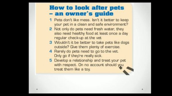 Grade 11 Unit 2 les 3 Negative adverbials, Negative structure