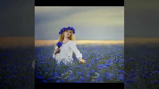 васильковое поле екатерина шаврина.бвв смотреть онлайн