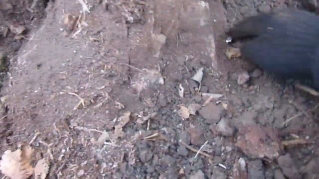 металло КоП № 46 смотреть онлайн