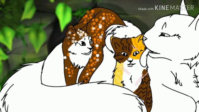 Ищем родителей по КВ. Вместе с сестрой .нашли смотреть онлайн