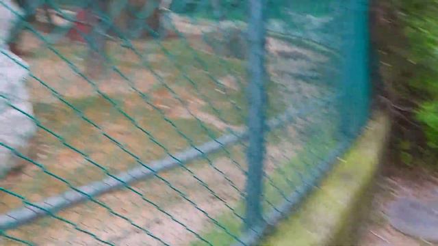 Южная Корея. Шикарный парк для прогулки с семьёй. КОРЕЯ ВЛОГ. #koreavlog смотреть онлайн