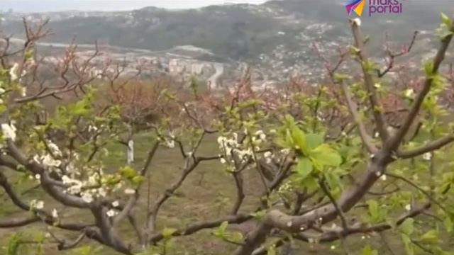 Россельхознадзор дал "зеленый свет" товарам из Абхазии смотреть онлайн