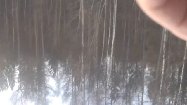 Саша и Рекс смотреть онлайн