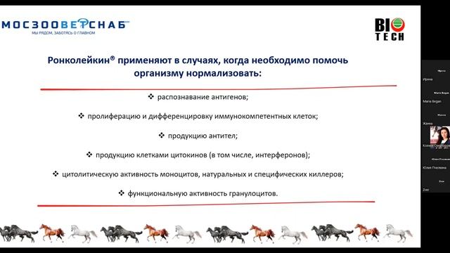 24.05.22 «Применение Ронколейкина® в терапии лошадей» смотреть онлайн