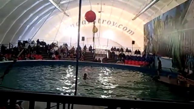 Дельфинарий на ВДНХ ч.2 смотреть онлайн