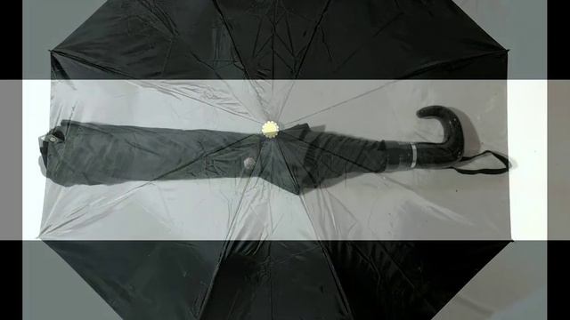 25X8 TWO FOLD MANUAL JET BLACK UMBRELLA смотреть онлайн