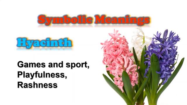 Flowers Meaning & Language Of Flowers || Symbolism Of Flower || By #Reality Rocks