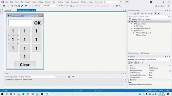Visual Studio Windows Forms App (Visual Basic VB.NET) PIN Tutorial