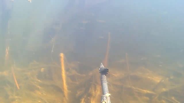 Подводная охота 2019 открытие сезона.(Spearfishing 2019 season opening) смотреть онлайн