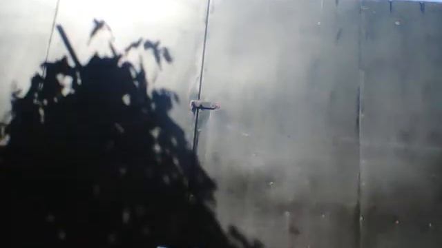 Новый самокат ?✨? смотреть онлайн