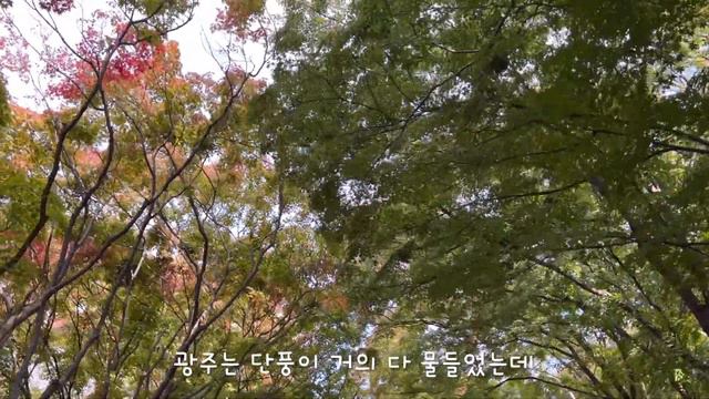 9주년 - 장수커플의 경주 여행, 동명동 맛집 데이트 vlog❣️ смотреть онлайн
