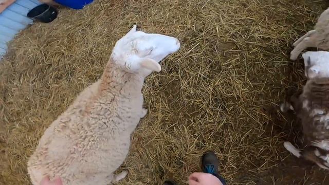 Строительные Приметы