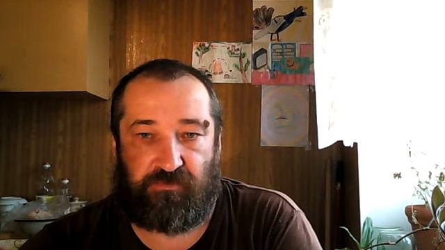 Кот и пес 21. Всё идет по кругу . смотреть онлайн
