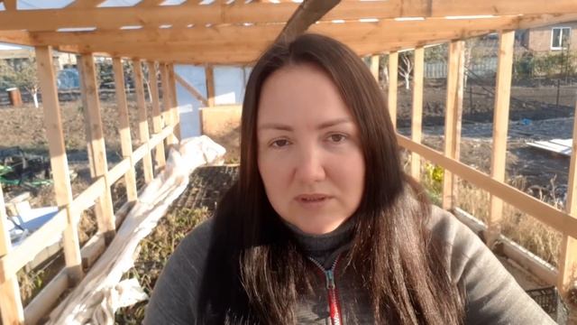 Как хранить саженцы ежевики зимой смотреть онлайн