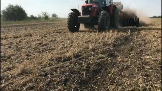 Сеем рапс смотреть онлайн