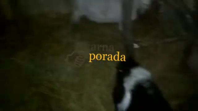 Как узнать, когда козе рожать ( когда окот, окоз) смотреть онлайн
