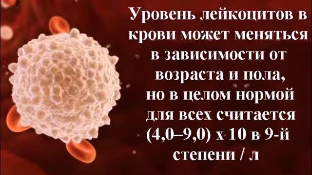 О чем говорят показатели крови человека. смотреть онлайн