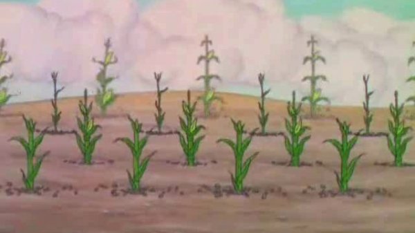 Silly symphony - Умная курочка