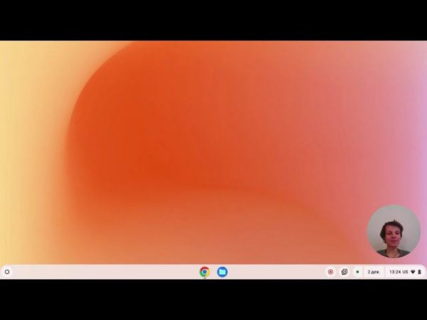 БраузерОС от Google как Android 14 - обзор Google Chrome Os Flex