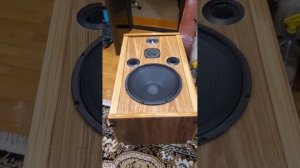 Акустика ArtSound авторская , новая сборка на 12» динамиках из китая , первый запуск