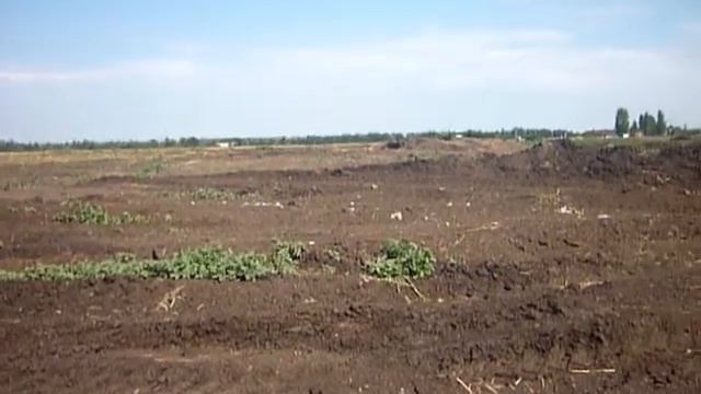 Не выполнение предписания смотреть онлайн