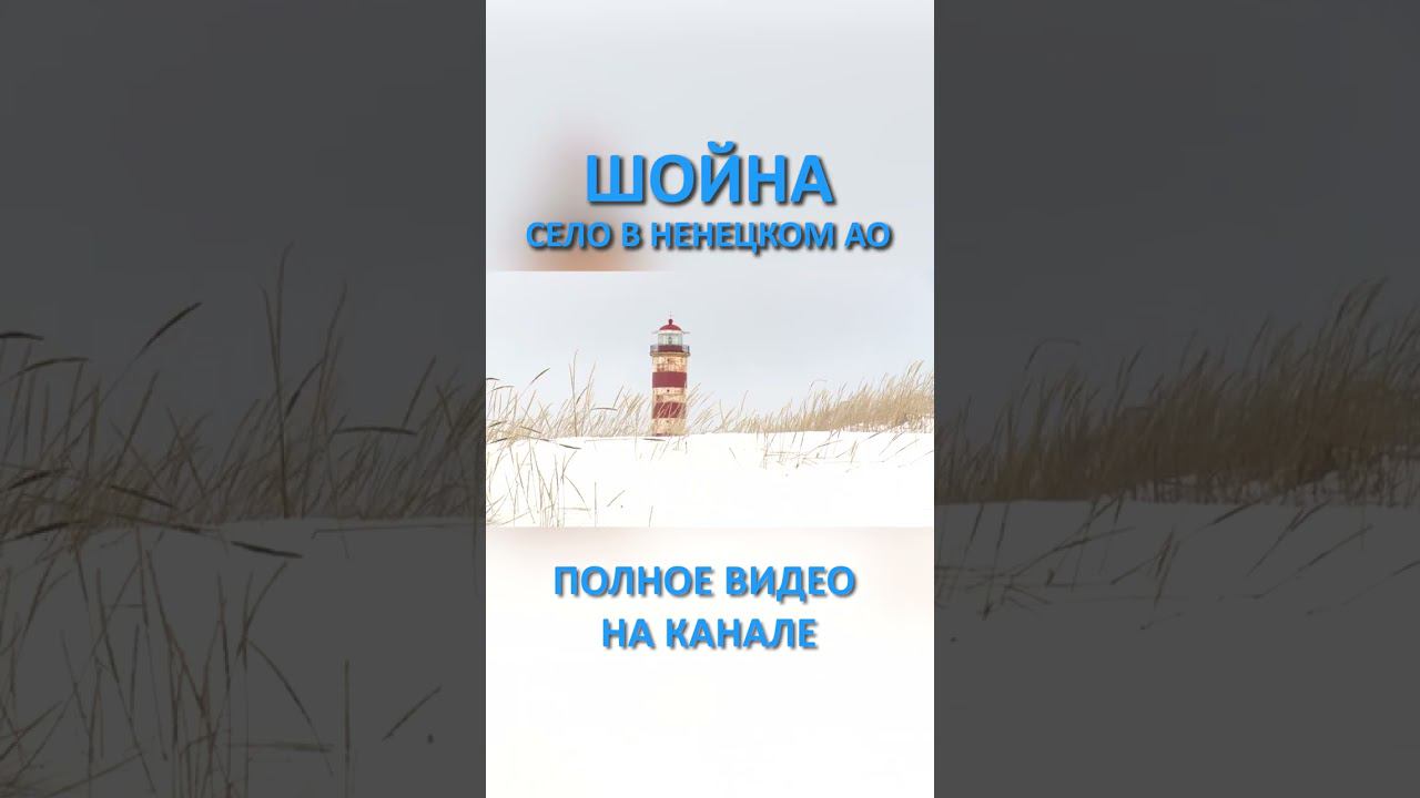 ШОЙНА 1 SHORTS #SHORTS смотреть онлайн