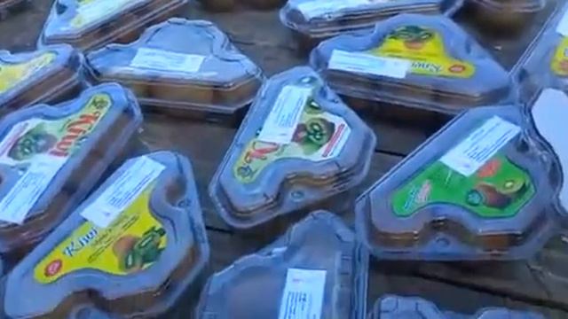 Naturally grown kiwi fruits (Harvard, Wengkhar Green, & Wengkhar Yellow) from our mother block. смотреть онлайн