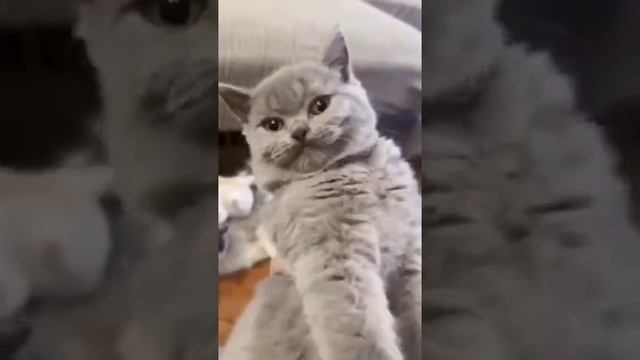 Вы что здесь делаете? смотреть онлайн