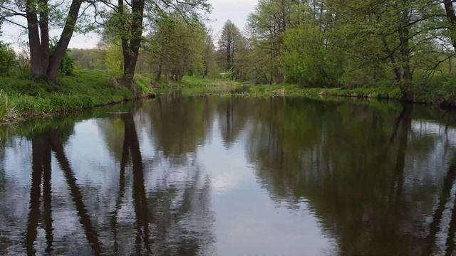 Старый Муховец - река в Кобрине смотреть онлайн