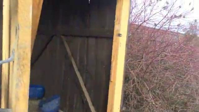 В мире животных: можайский страус спец выпуск смотреть онлайн