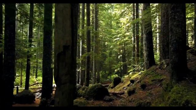 ЧТО ЕСЛИ СОЛНЦЕ ПОГАСЛО и КОГДА ЭТО ПРОИЗОЙДЕТ - Андрей Белясник смотреть онлайн