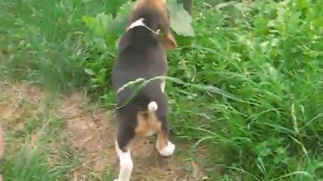 MVI 4706 смотреть онлайн