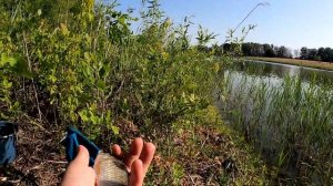 Карась на Удочку и на Искусственного Мотыля - МОРМЫШИНГ Рулит!!!