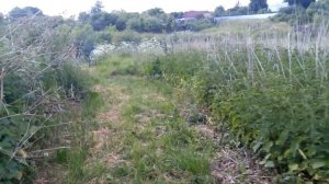 Мотопомпа "Свияга - М". Откуда и куда качает. Дальность подачи воды на моем примере.