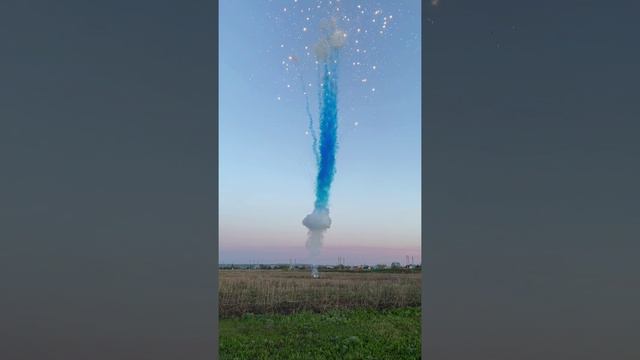Дневной фейерверк для Gender Party