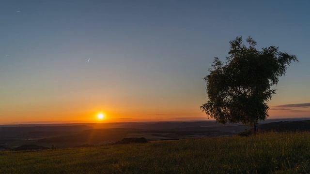 Псалом 8. Псалтырь. Видео Библия смотреть онлайн