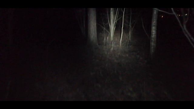 ВСТРЕТИЛИ СЕКТУ В ЛЕСУ.ПОХОД В МИСТИЧЕСКИЙ ЛЕС