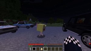 ?СЛЕДИМ ЗА ЧУ ЧУ ЧАРЛЬЗ ЧЕРЕЗ СКРЫТЫЕ КАМЕРЫ В МАЙНКРАФТ! ШЕДИ ЛЕСКА И НУБИК ТРОЛЛИНГ MINECRAFT