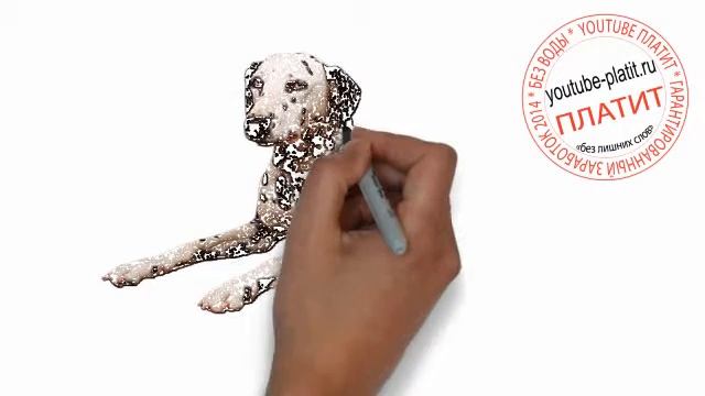 Нарисованные породы собак Как нарисовать огромного далматинца поэтапно простым карандашом смотреть онлайн