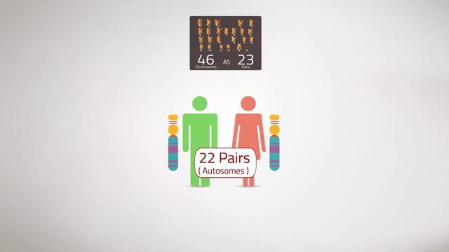 Everything you Need to Know:Chromosome Analysis (Karyotyping) смотреть онлайн