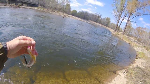 Весенняя рыбалка в мае 2023 года. смотреть онлайн