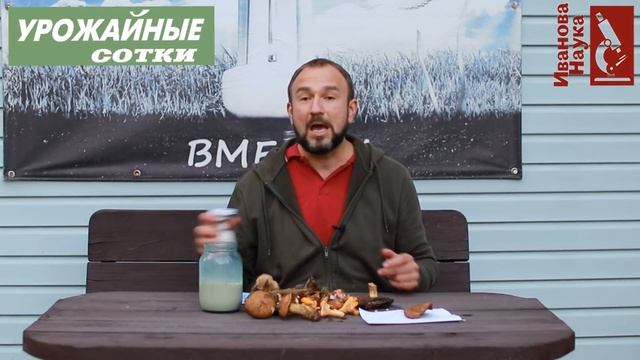 Бомбический и ПРОСТОЙ способ выращивания ГРИБОВ на участке. Попробуйте и получится! смотреть онлайн