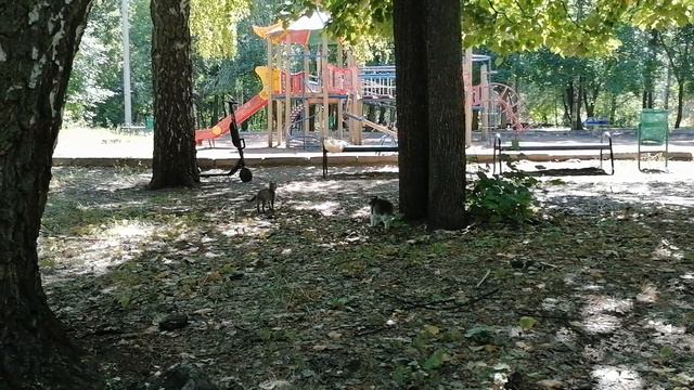 Красотка Молли смотреть онлайн