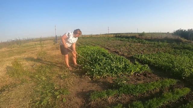 УСТАНОВИЛИ ОКНА В КОМНАТЕ/ ЖИЗНЬ В ДЕРЕВНЕ смотреть онлайн