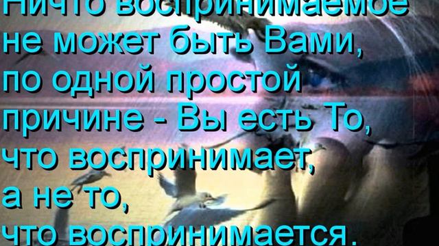 Всё является содержанием сознания, а не самим сознанием смотреть онлайн