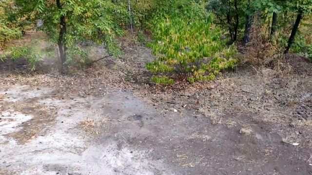 🔥100 FIRECRACKERS EXPLOSIONS SIMULTANEOUSLY🔴BEST FIRECRACKERS смотреть онлайн