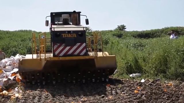 В Иванове осудили пенсионерку, укравшую от голода хлеб смотреть онлайн