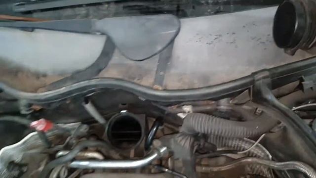 Где находится номер двигателя Mercedes-Benz V6-V8 m112/113 смотреть онлайн