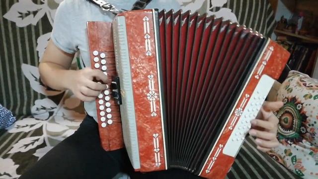 СТРАДАНИЯ на гармони смотреть онлайн